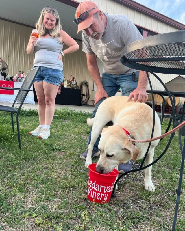 Oscar enjoyed a drink at Cedarvale last week!
#mustlovedogs #winelover #greatdaytobeoitside #southjerseyisfun