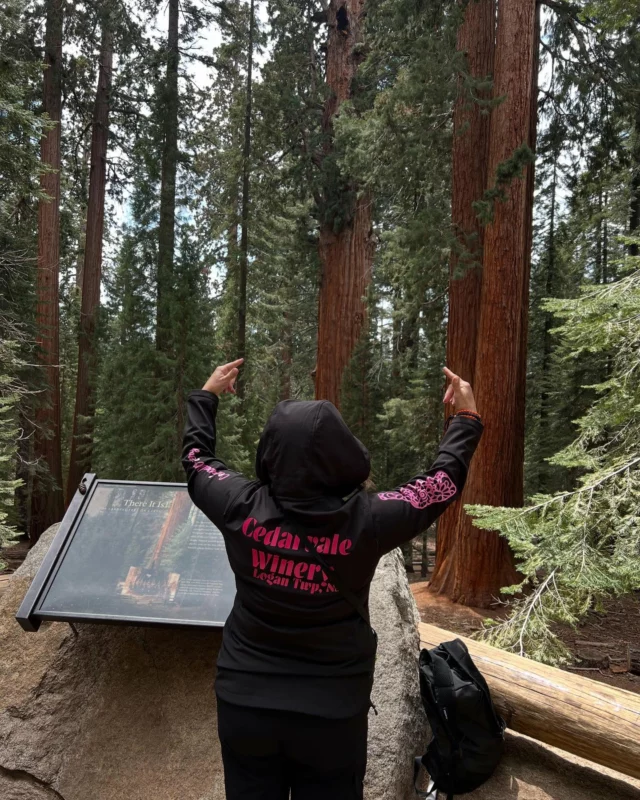Cedarvale Winery is represented @sequoianationalforest 🪾🌳
Such a Wonder Experience to see the Big Sequoias!💕🥰🍷
#tripofalifetime❤️ #cedarvalewinery
#dreamscometrue❤️