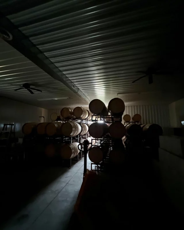 Some wines need to age….

#oakedwines #winewinewine 
#njwinery #cedarvalewinery