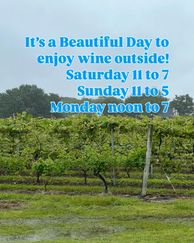 Sip and sip at Cedarvale Winery!
#cheerstotheweekend 
#logantownshipnj
#winetime