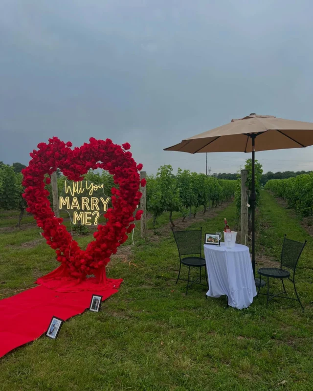 Surprise Engagement Today!!

Overcast days are the best days to take pictures!!! The natural colors POP!! 

We have a great location, if you are ready to POP THE QUESTION!!

#shesaidyes
#lovewins 
#winenot 
#winewinewine 
#njwinery 
#❤️❤️❤️🍷🍷🍷